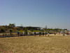 THUMB_DSC04267_p.JPG